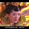 下载49图库并安装l绿色版本